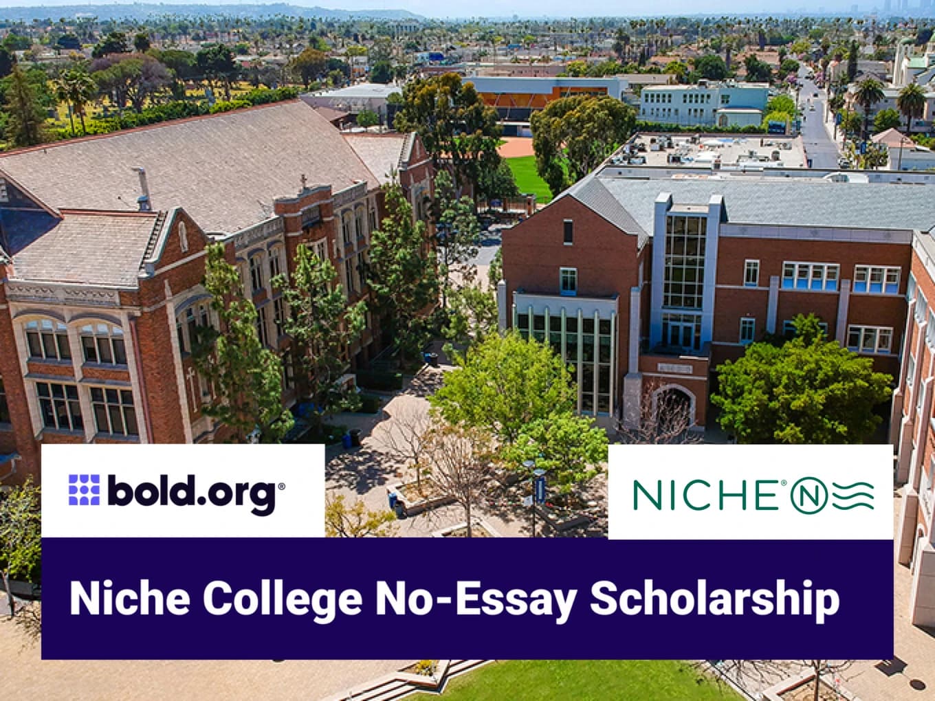 Niche College No-Essay Scholarship